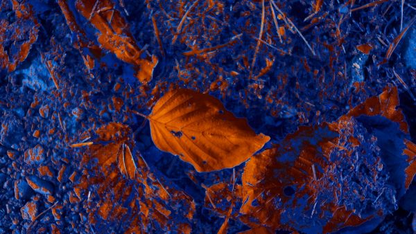 Влияние закиси азота на экологию: проблемы и решения