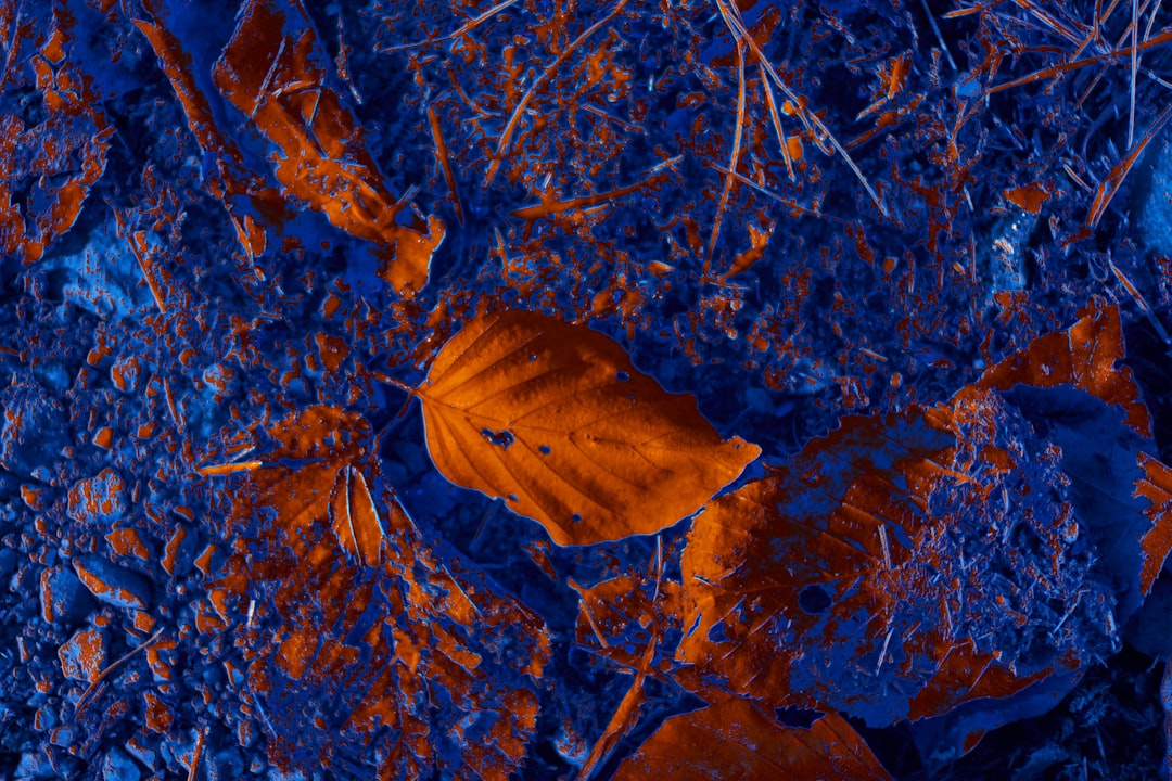 Влияние закиси азота на экологию: проблемы и решения